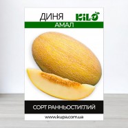 Семена дыни Амал, 0,5кг